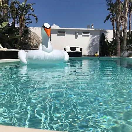 Del Salento Exclusive לינה וארוחת בוקר גאליפולי