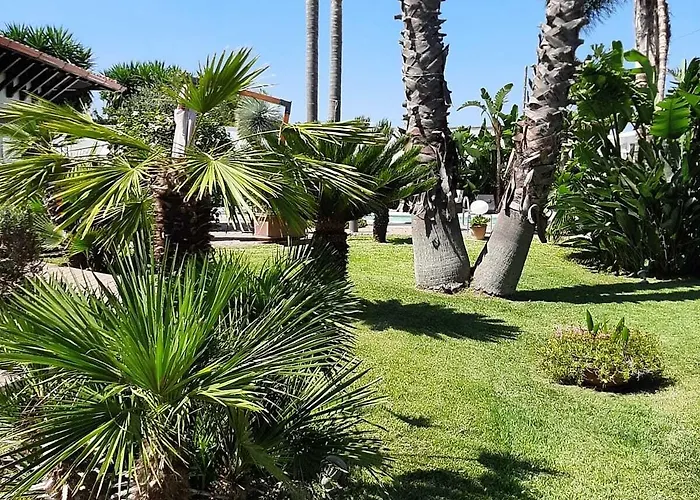 Alojamento de Acomodação e Pequeno-almoço Del Salento Exclusive